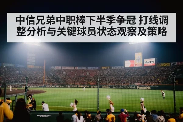 baseball stadium night crowd