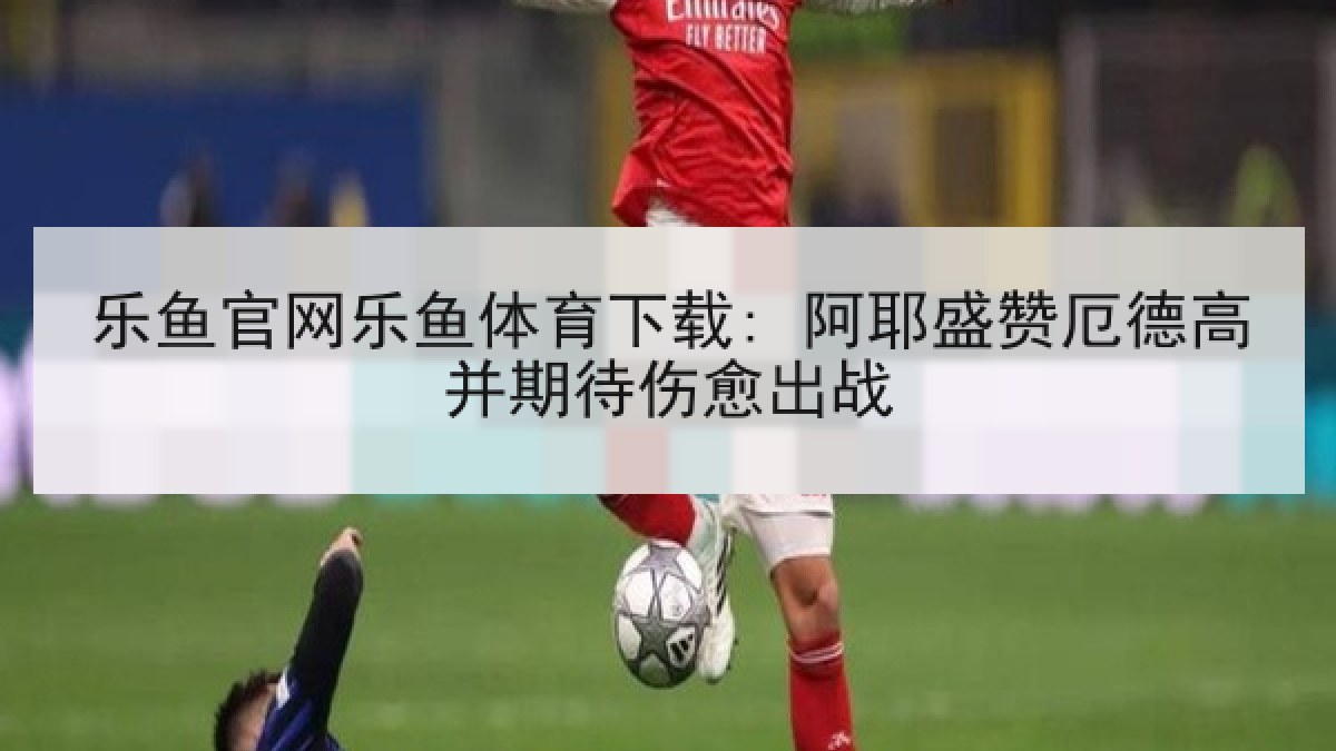 乐鱼官网乐鱼体育下载: 阿耶盛赞厄德高并期待伤愈出战